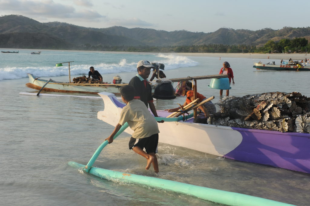 Selong Belanak, plage de rêve de Lombok, au coucher du soleil, pêcheurs mettant le bateau à l'eau