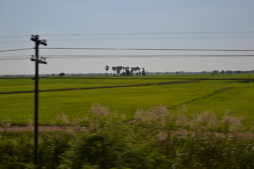 paysage de verdure depuis le train entre bangkok à khao yai