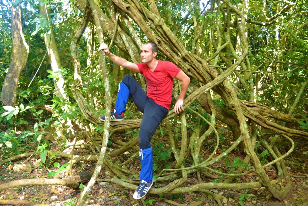 william dans les lianes du parc national de khao yai