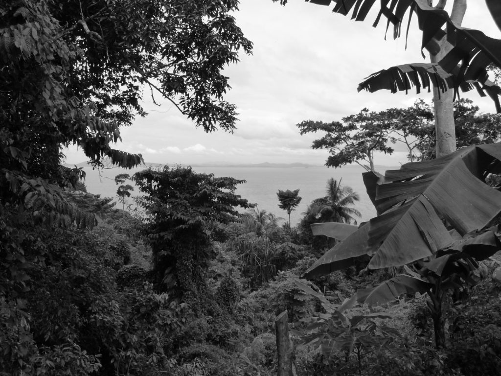 point de vue sur la mer sur le trajet pour rejoindre rantee beach à koh phi phi, photo noir et blanc