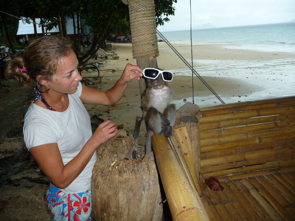 chatoune met ses lunettes de soleil à un singe à rantee beach, koh phi phi
