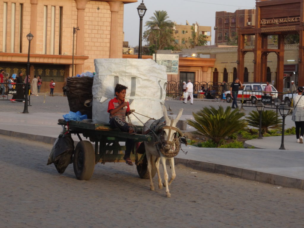 enfant qui mène une cariole tirée par un âne dans la rue face à la gare d'assouan