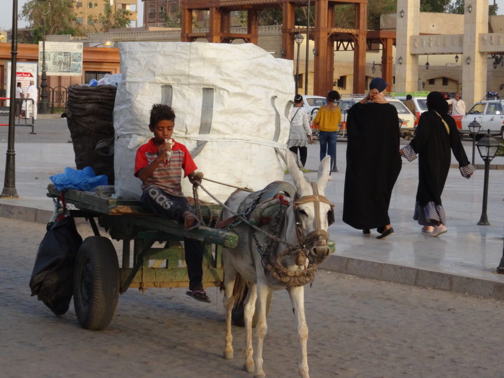 enfant qui mène une cariole tirée par un âne dans la rue face à la gare d'assouan