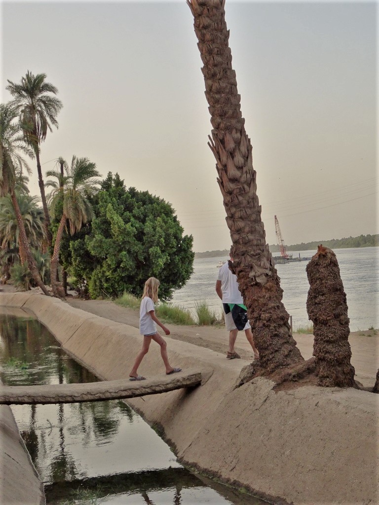 petit île du Nil rejoint en felouque
