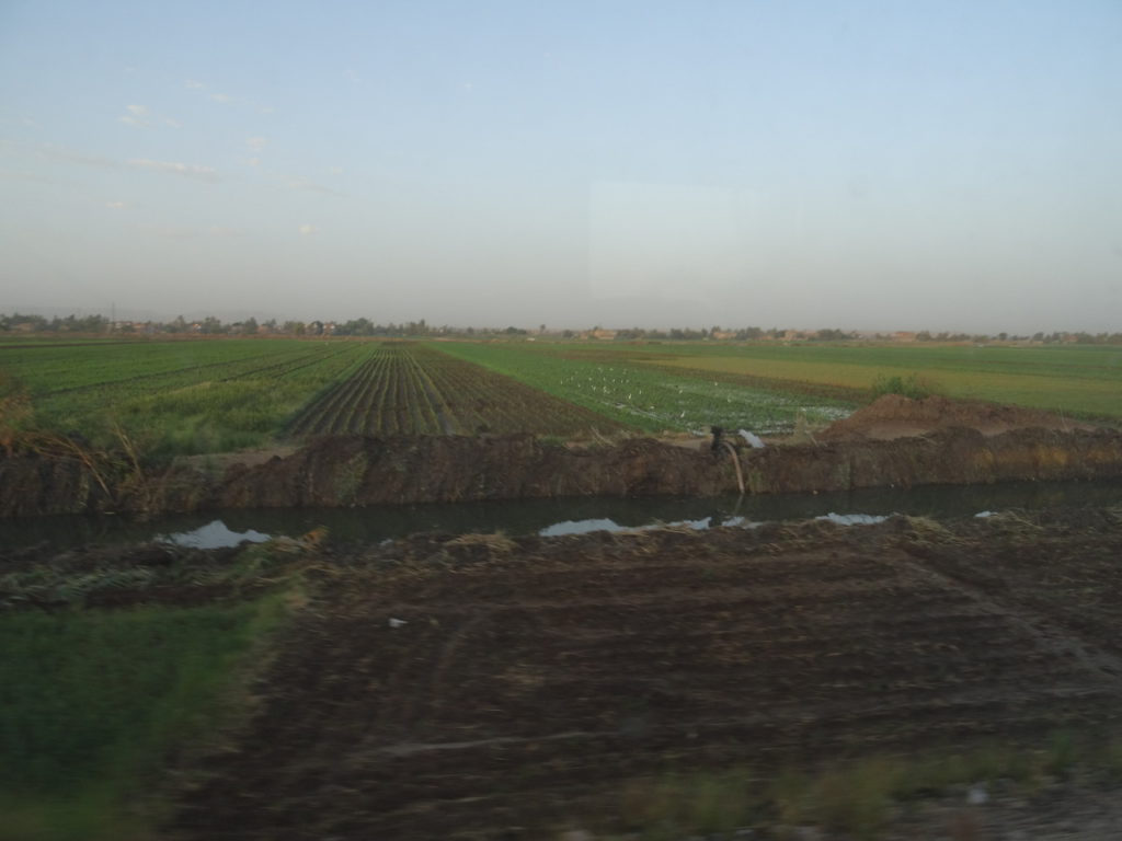 paysage depuis le train entre le caire et assouan