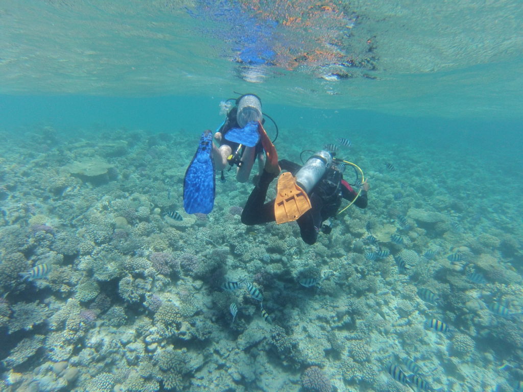 Première plongée pour Chatounette, Hurghada, Egypte