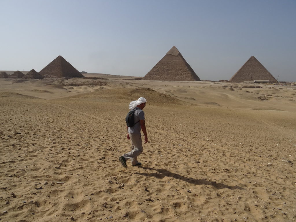 chaton dans le désert de guizeh devant les pyramides