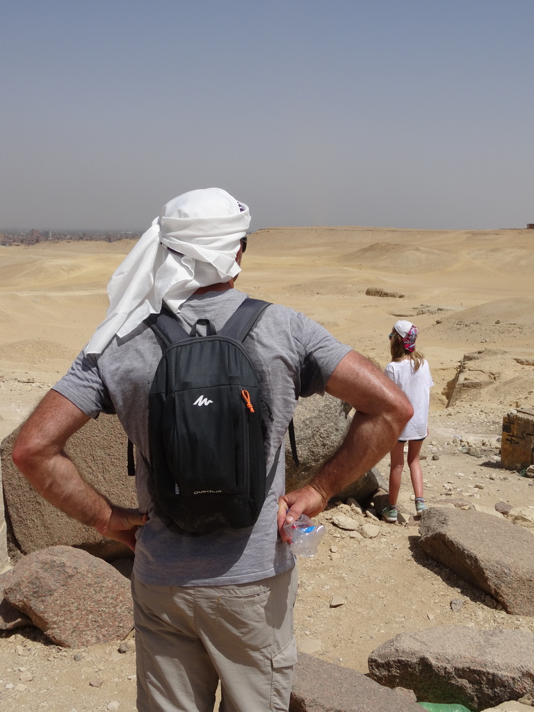 chaton et chatounette contemple le paysage entre désert et capitale d'egypte
