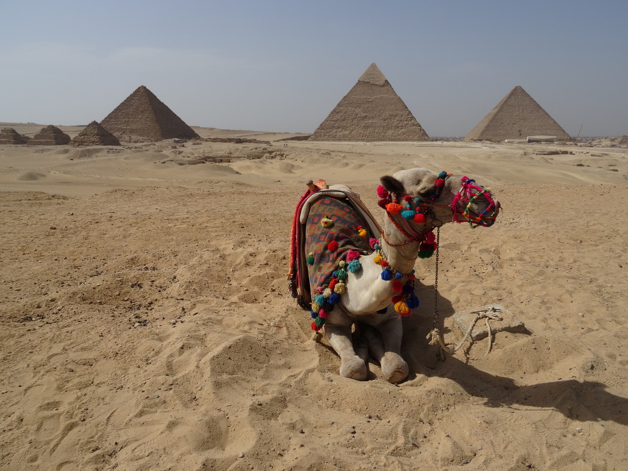 Ou Se Trouve Le Sphinx Par Rapport Aux Pyramides Les pyramides de Guizèh et le Sphinx ⋆ 3 ChAtONs En VaDrOUiLLe