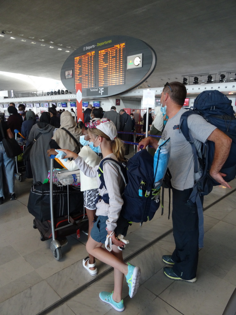 chaton et chatounette font la queue pour enregistrer les bagages à l'aéroport de paris CDG pour embarquer pour l'égypte