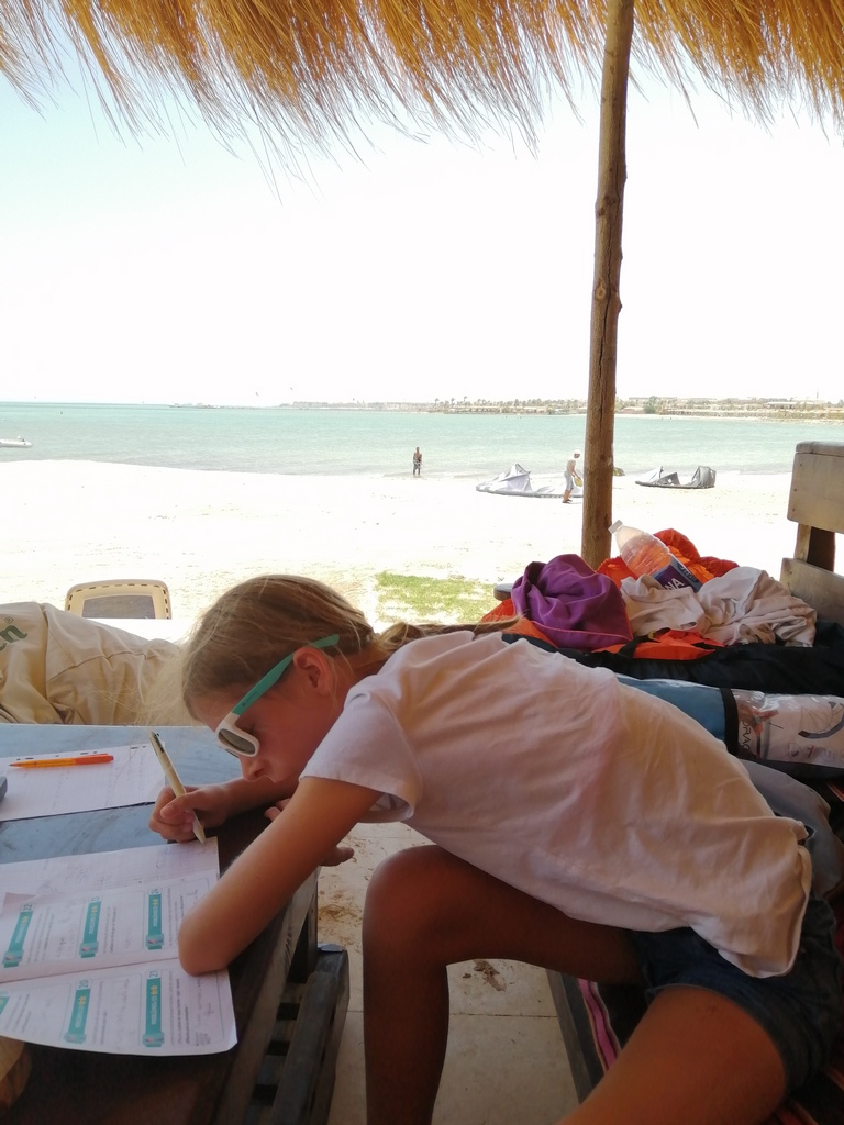 chatounette fait ses devoirs sur la plage de selena bay entre hurghada et el gouna pendant que chaton kite sur la mer rouge