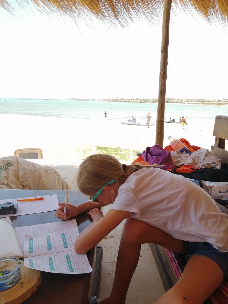 chatounette fait ses devoirs sur la plage de selena bay entre hurghada et el gouna pendant que chaton kite sur la mer rouge