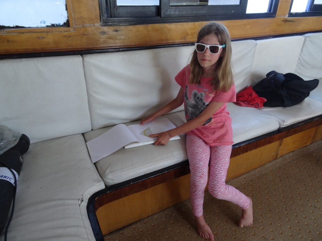 chatounette sur le bateau