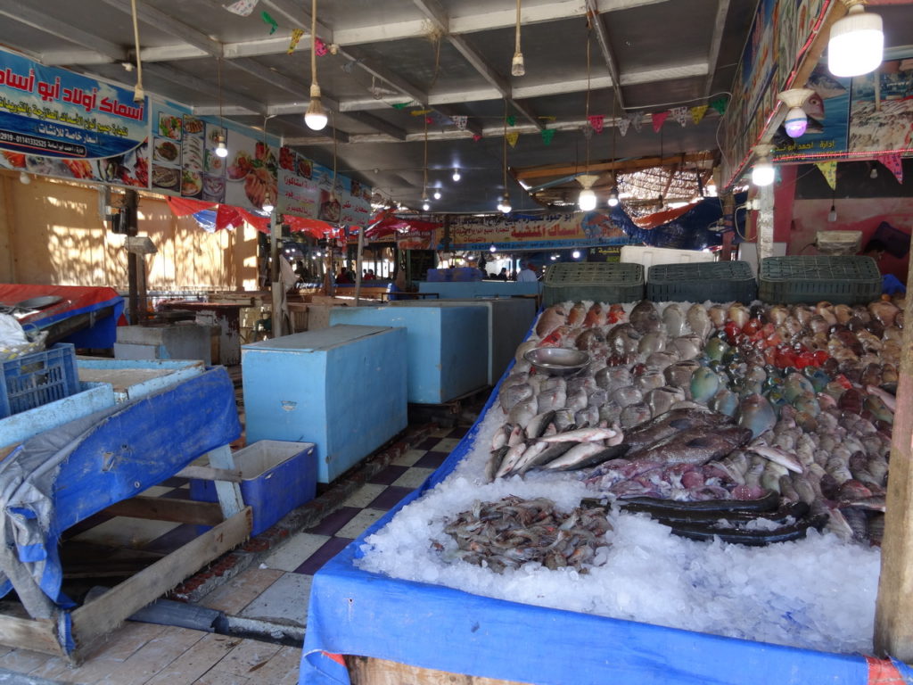 fish market d'hurghada