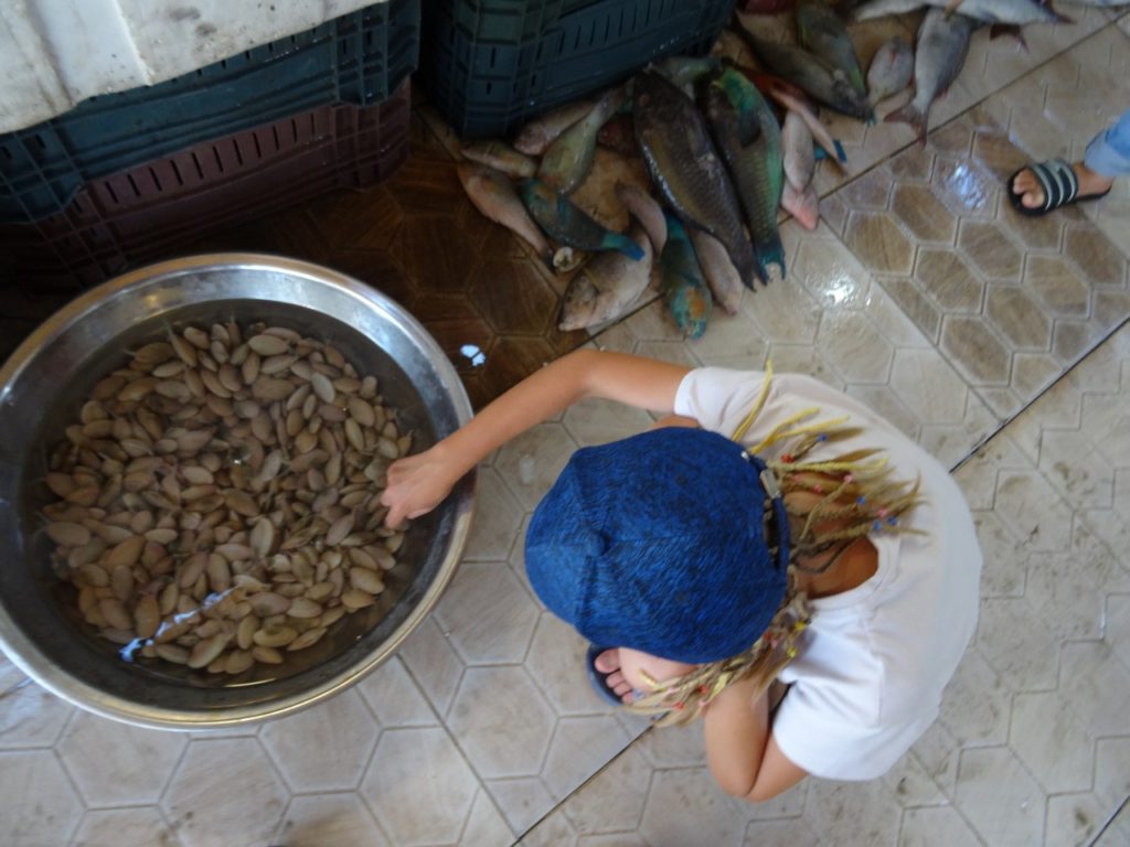 fish market d'hurghada
