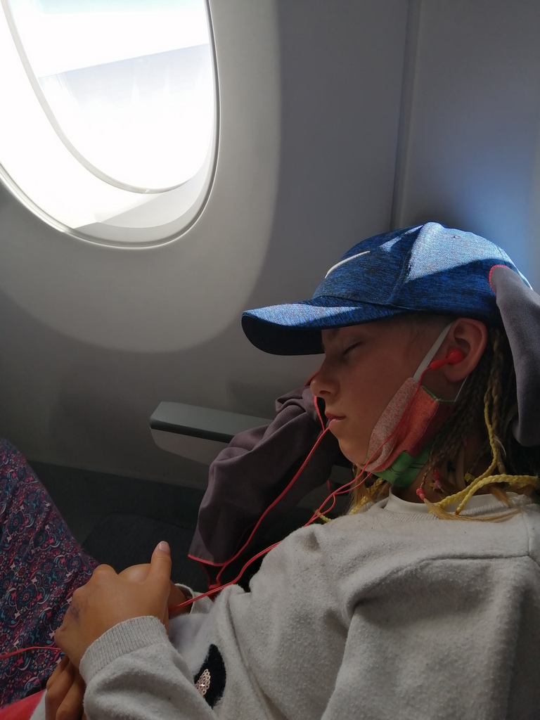 chatounette dort dans l'avion