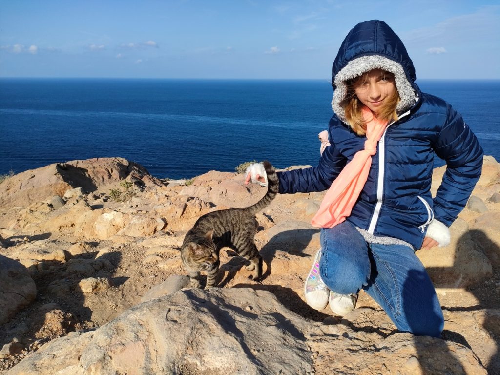 Tour de Santorin en voiture - Phare vers Akrotiri , chatounette avec un chat