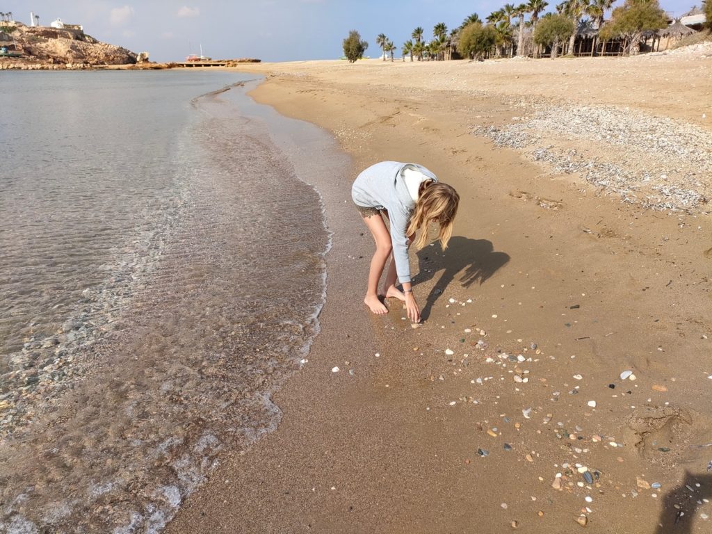 chatounette sur la plage de koumbara à ios