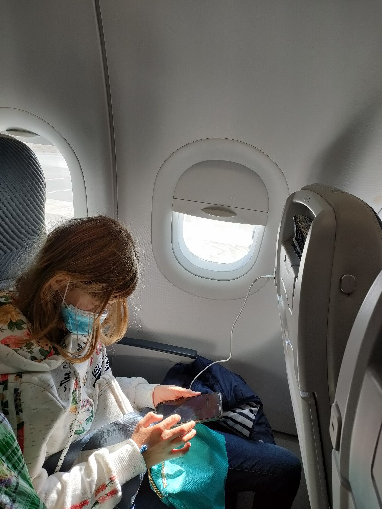 chatounette dans l'avion