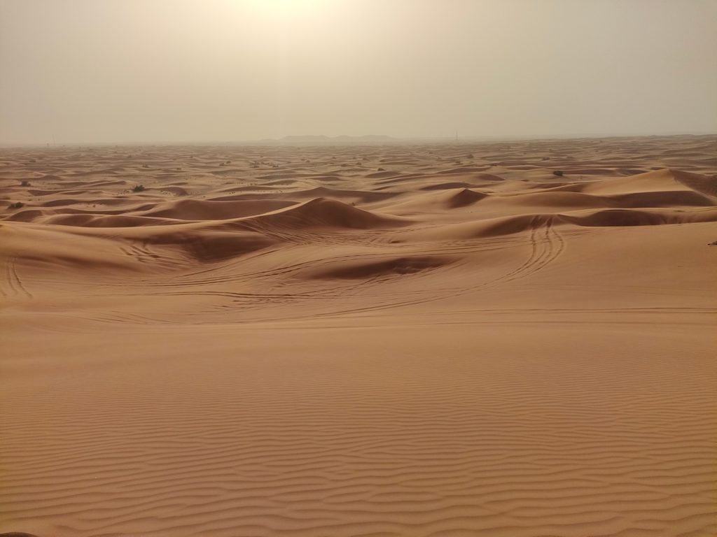 excursion dans le désert de Dubaï - dunes bashing 4x4 dans les dunes de sable, paysage