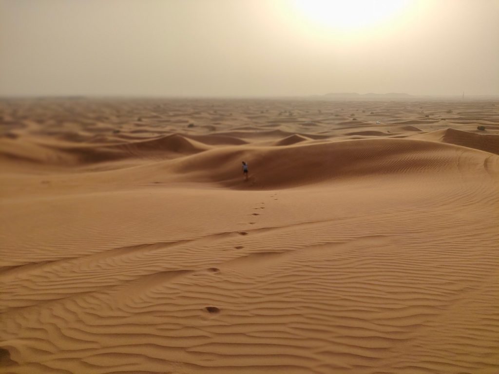 excursion dans le désert de Dubaï - dunes bashing 4x4 dans les dunes de sable, chatounette court au coucher du soleil, golden hour