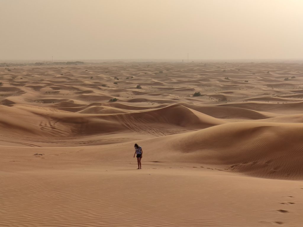 excursion dans le désert de Dubaï - dunes bashing 4x4 dans les dunes de sable, chatounette court au coucher du soleil, golden hour