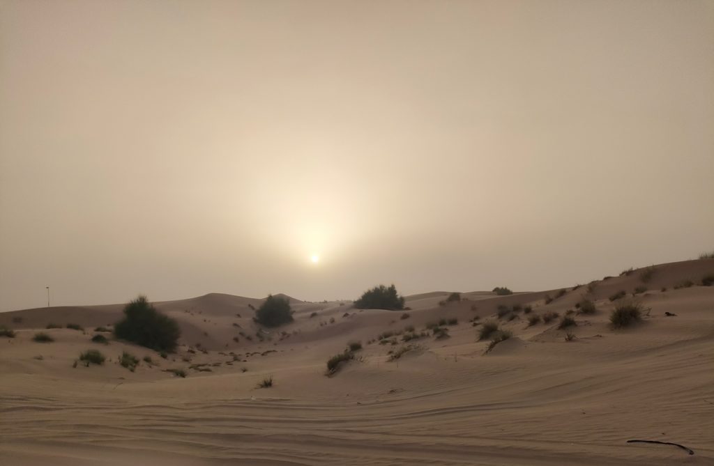 excursion dans le désert de Dubaï - dunes bashing 4x4 dans les dunes de sable, paysage