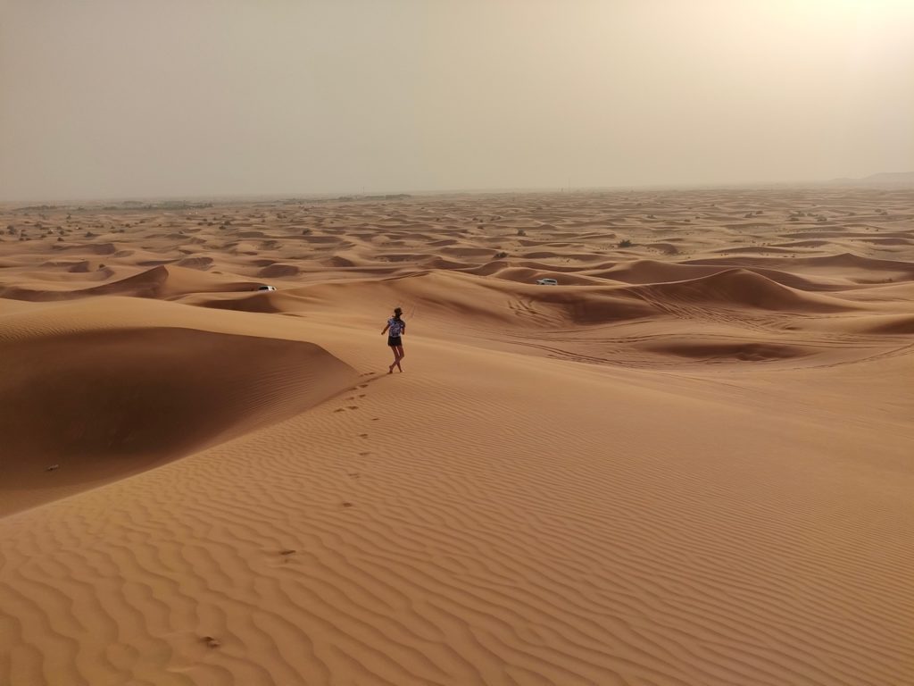 excursion dans le désert de Dubaï - dunes bashing 4x4 dans les dunes de sable, chatounette qui court dans le désert