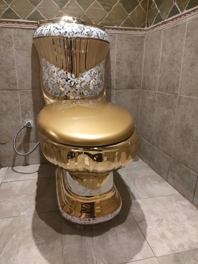 toilettes en or à Dubaï