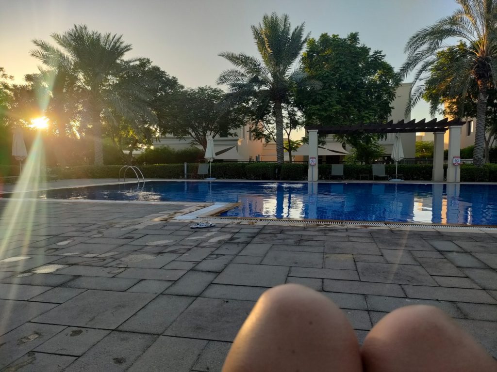chatoune à la piscine de dubai au coucher du soleil
