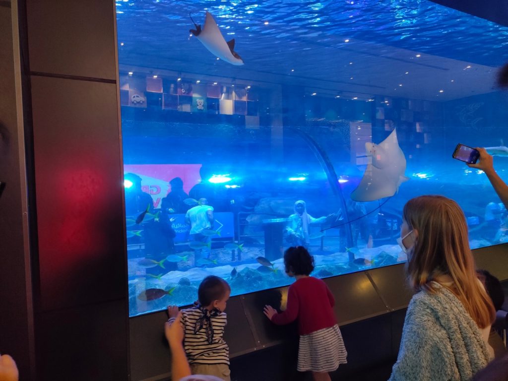 aquarium de dubaï mall