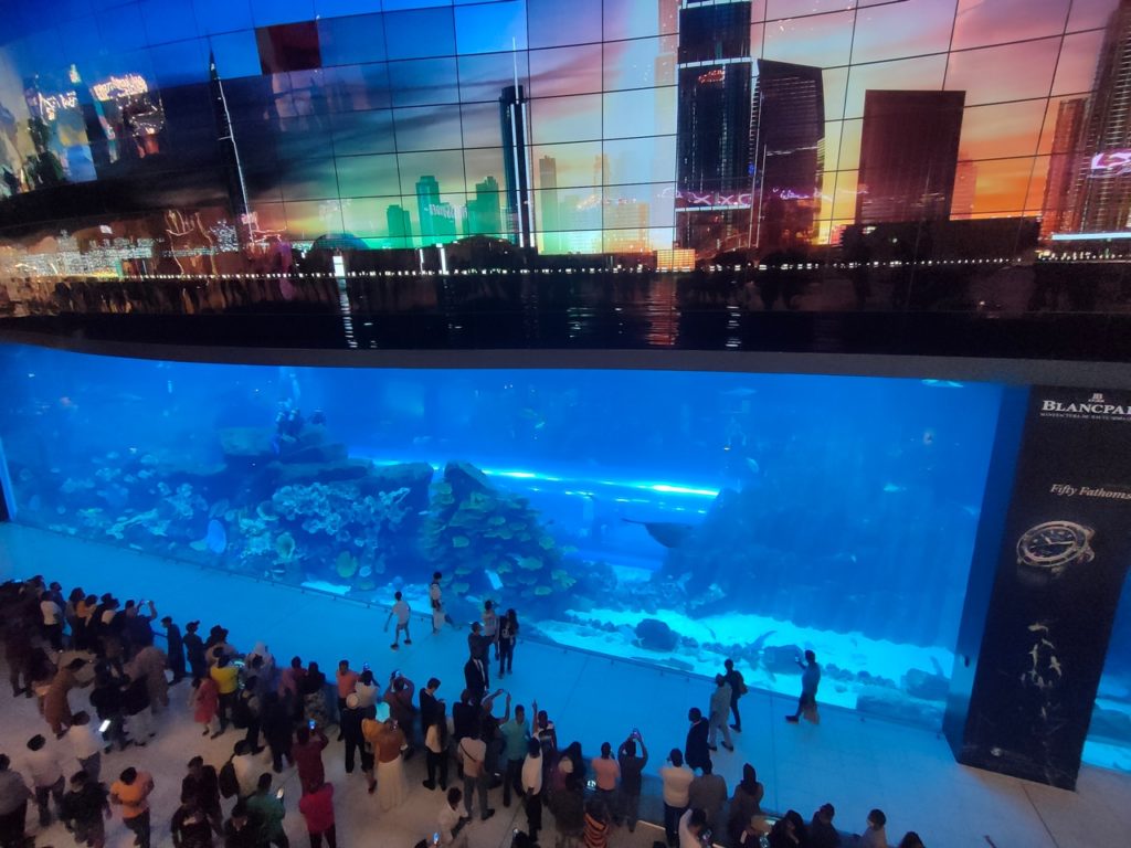 aquarium de dubaï mall