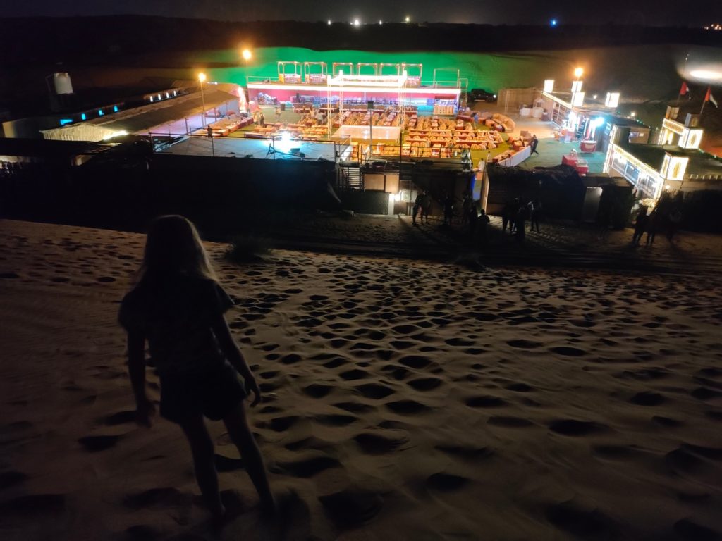 xcursion dans le désert de dubai - soirée repas spectacle, chatounette dans le sable
