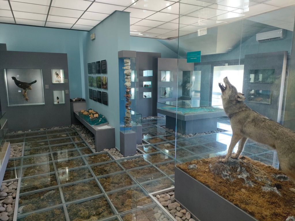 Visitor Center/musée du Lac Skadar