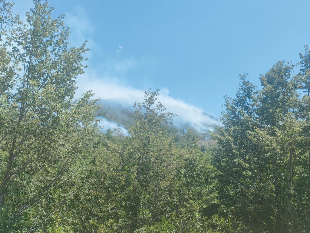 Incendies au Monténégro