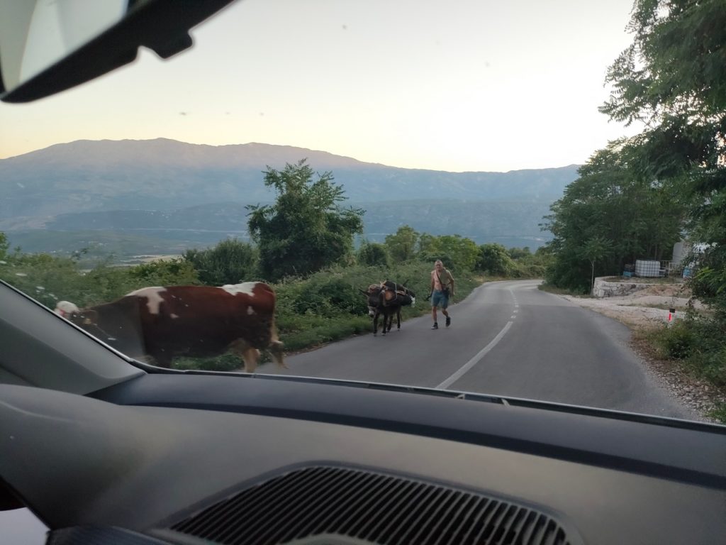 Sur les routes du Monténégro