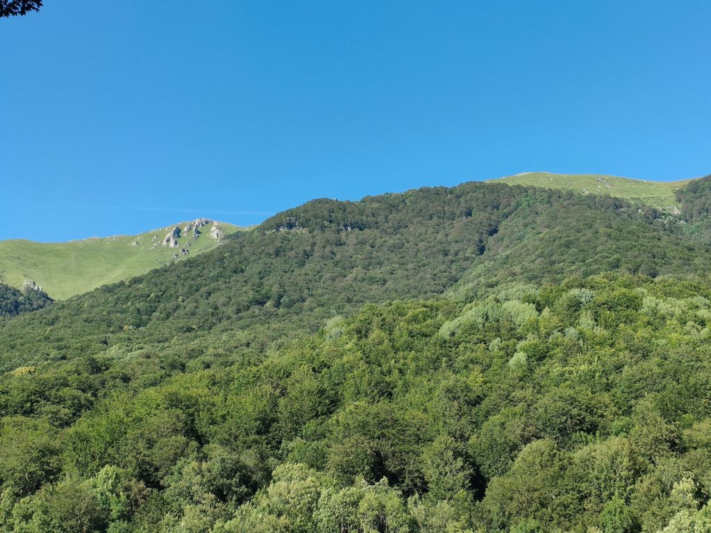 Paysages de montagne au Monténégro
