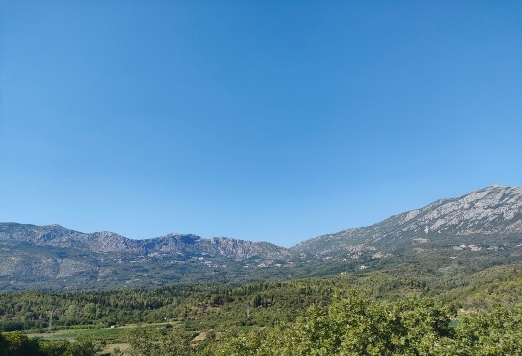 Paysages de forêt (cyprès) et montagne entre le Monténégro et la Croatie