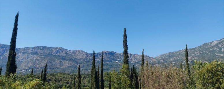 Paysages de forêt (cyprès) et montagne entre le Monténégro et la Croatie