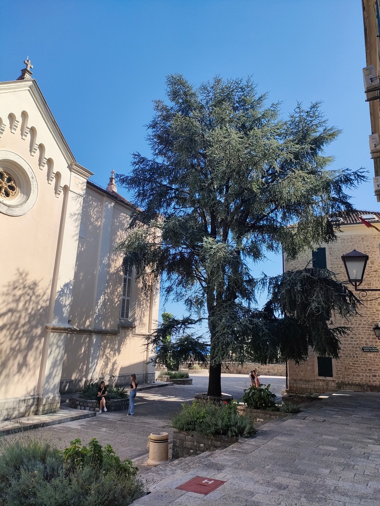 Visite de la vieille ville d'Herceg Novi, église