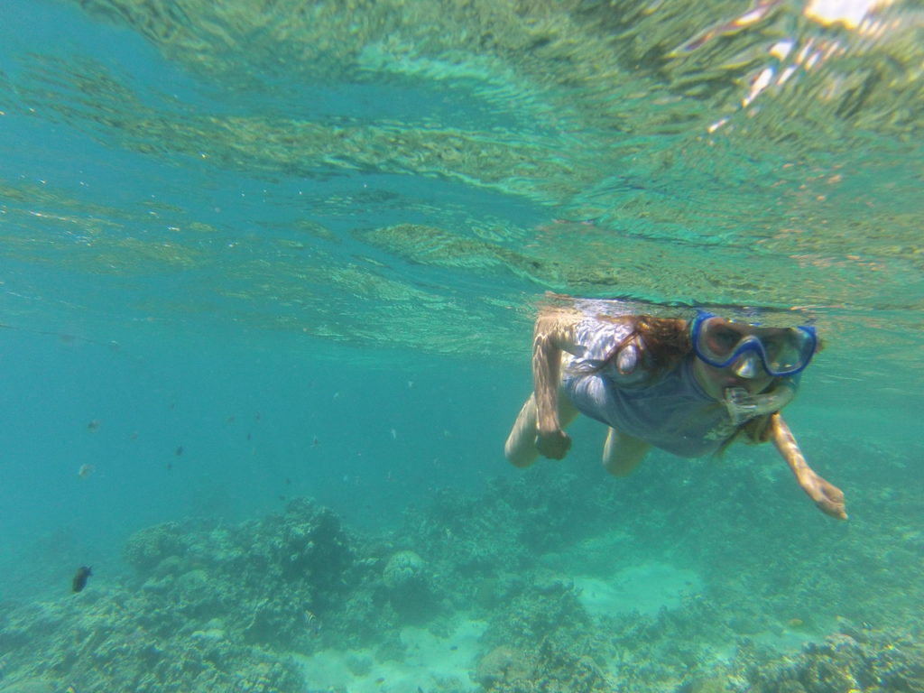 chatounette en snorkeling à gorgon I, mer rouge, jordanie