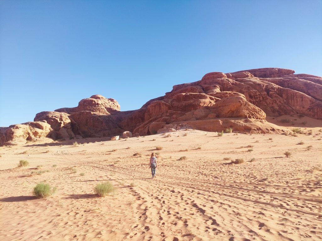 chatounette marchant de le désert du wadi rum