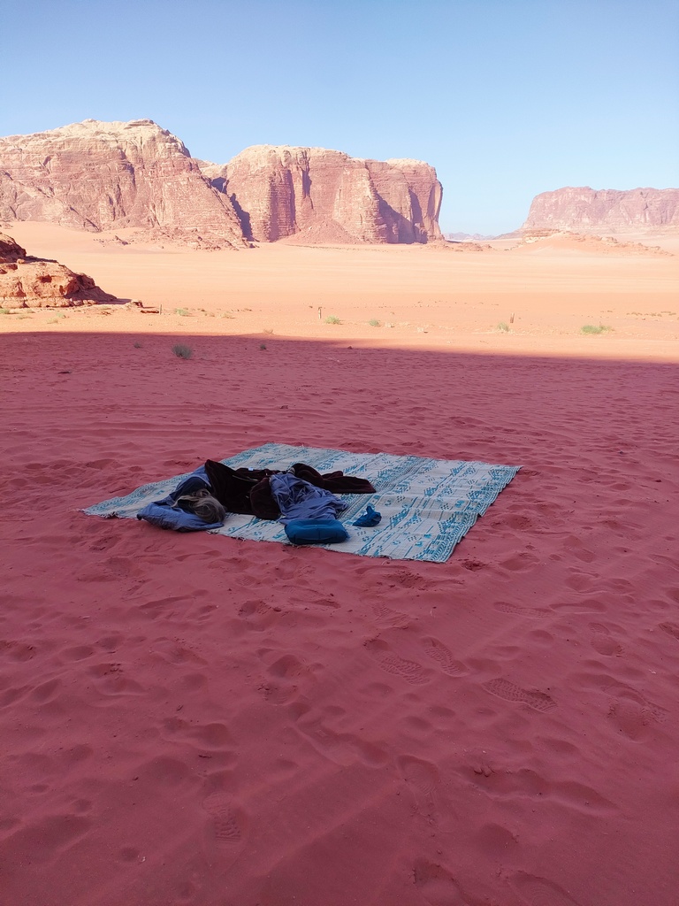 chatounette qui dort sur le sable dans le désert de wadi rum
