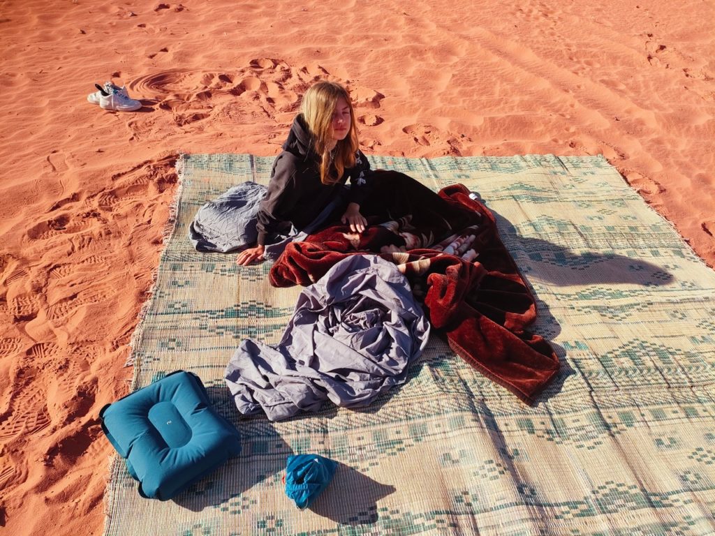 chatounette qui se réveille dans le sable dans le désert de wadi rum