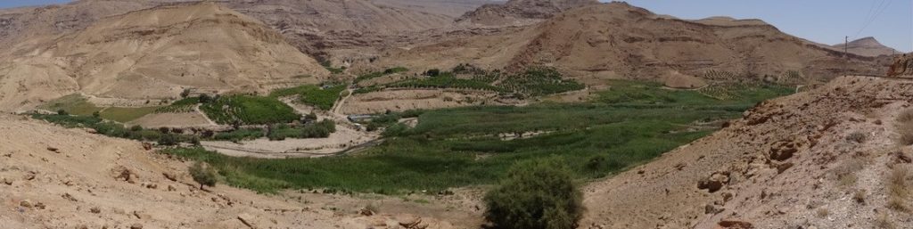 paysage de verdure sur le trajet De Hammamat Afra à Kerak