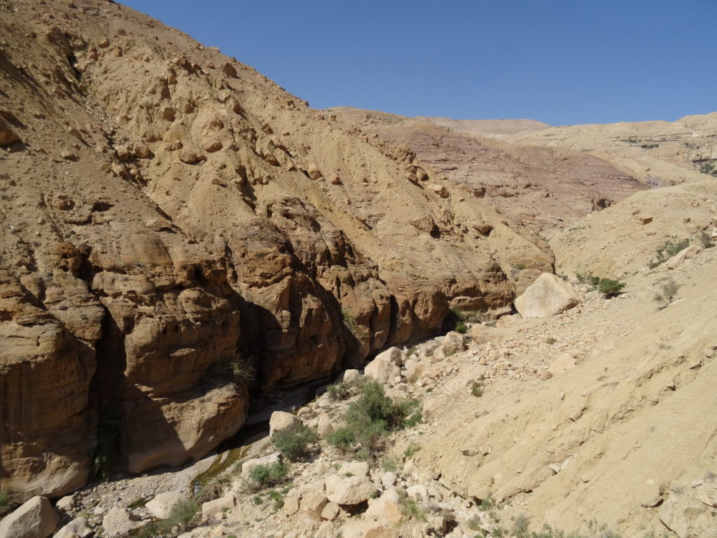vue depuis hauteur sur le Wadi Ibn Hammad