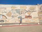 chatoune devant fresque en mosaïque représentant les sites touristiques de jordanie