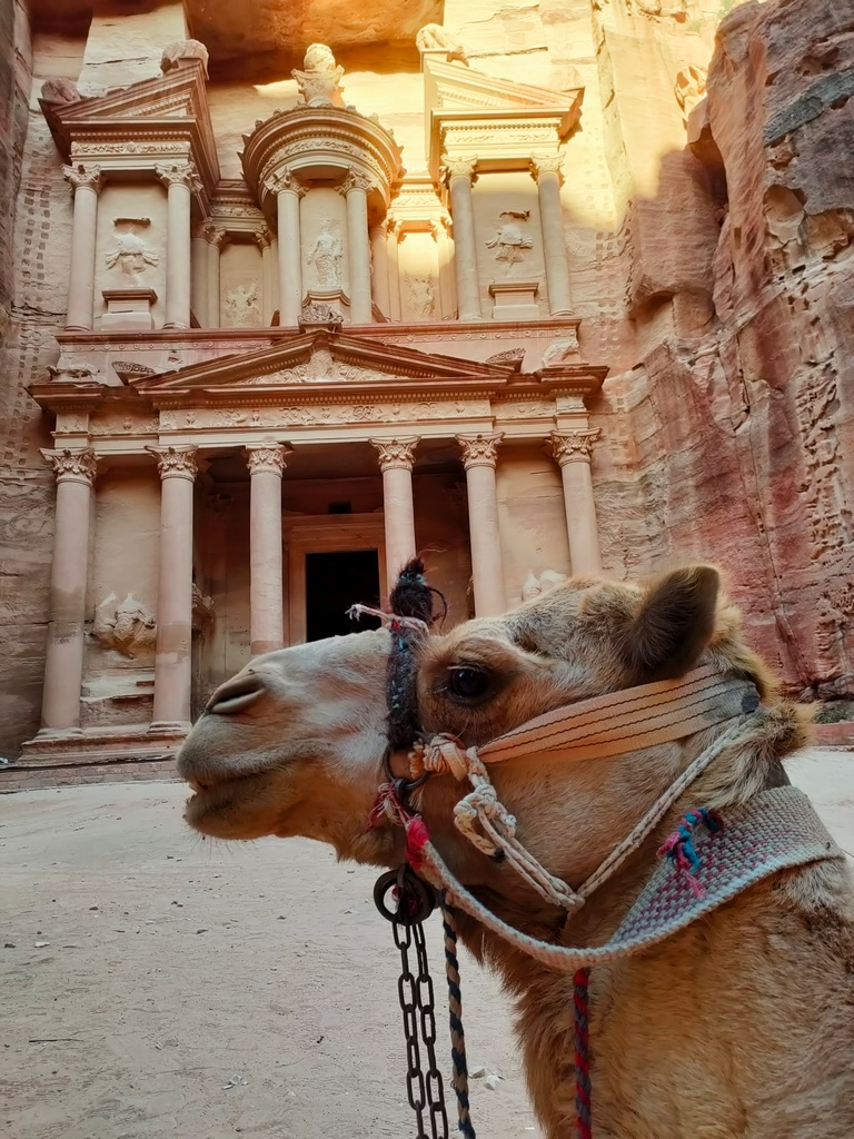 Le Trésor Al Khazneh Pétra derrière un chameau