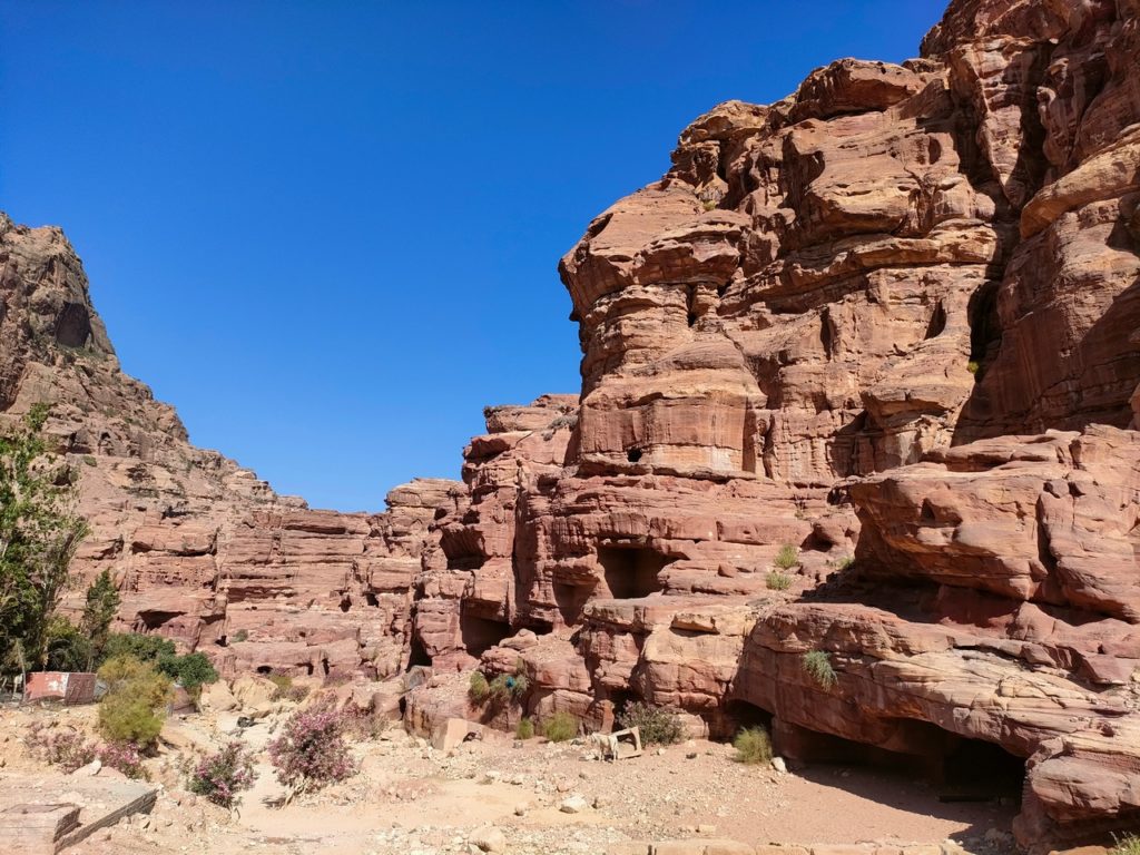 roches au pied du Monastère Al-Deir Pétra