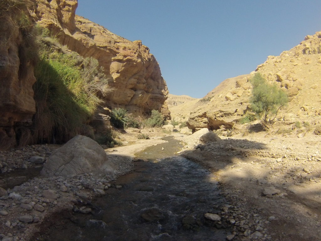 Wadi Bin Hammad
